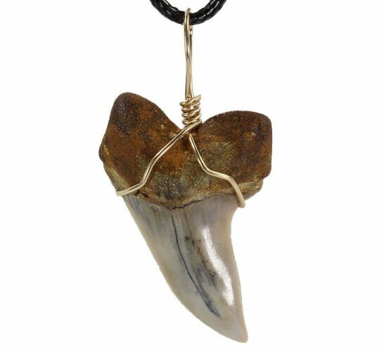 Fossil Mako Tooth Necklace - Bakersfield, California #95264